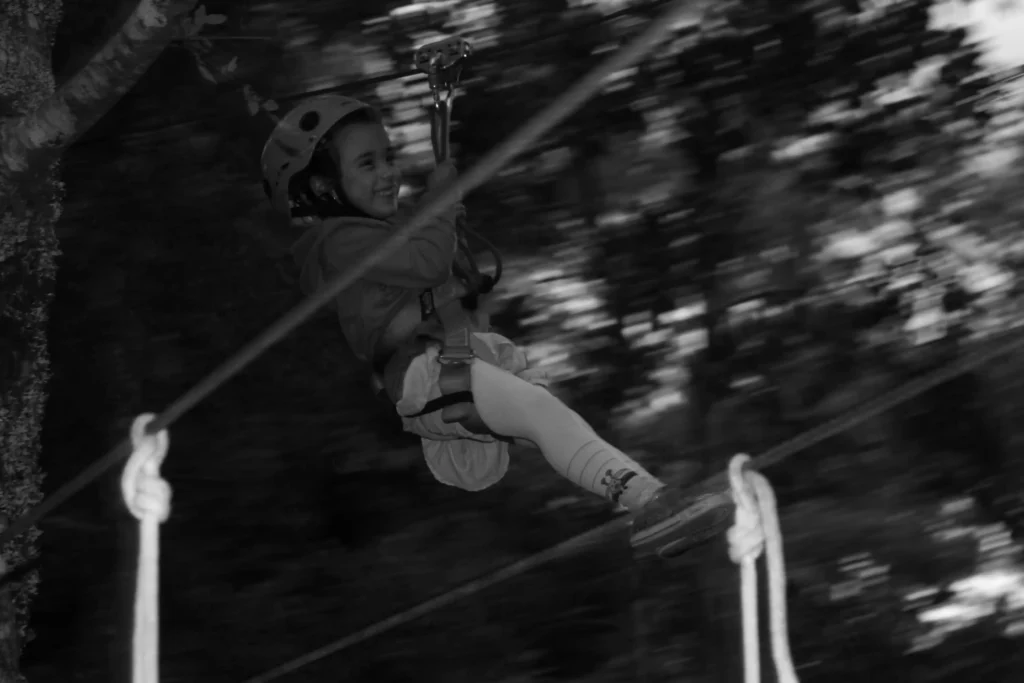 Canopy