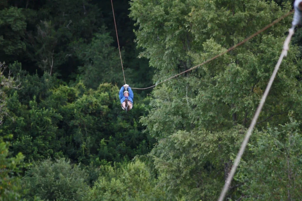 Canopy
