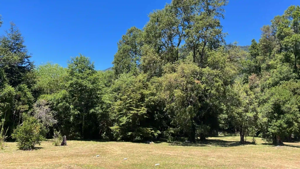 RíoGlamping