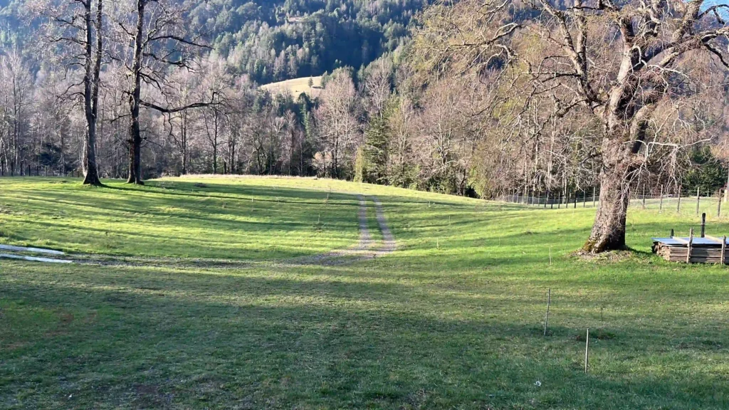 RíoGlamping