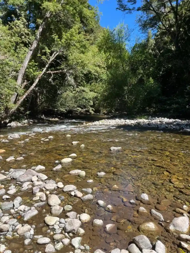 RíoGlamping