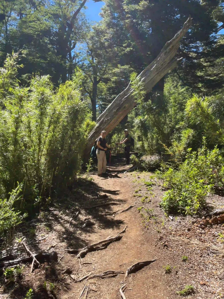 Sendero del Cañi