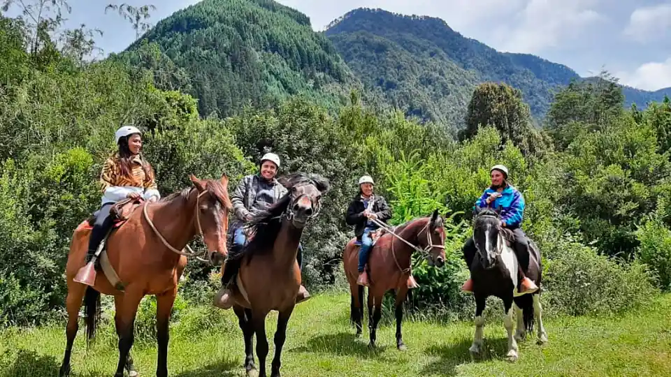 Cabalgatas en Caballo